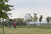 Parco San Giuliano  - 024